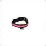 Animate LED Collar Pink Medium