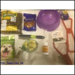 Dogs Bundle Selection