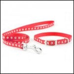 Ancol Nylon Puppy Set Red