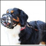 Baskerville Ultra Muzzle Size 5