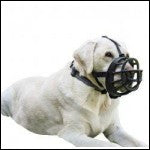 Baskerville Ultra Muzzle size 2