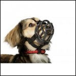 Baskerville Ultra Muzzle size 4