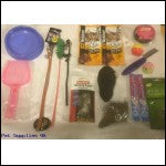 Cats Bundle Selection